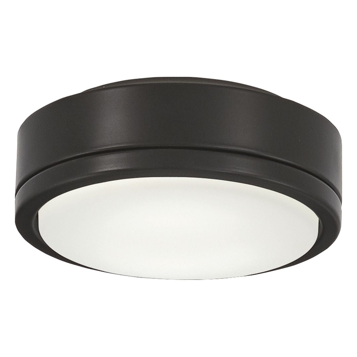 7 In. Rudolph Ceiling Fan Light Kit, Black Coal Finish - Bees Lighting
