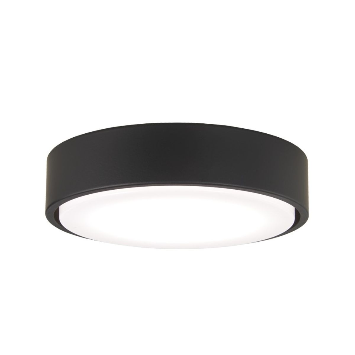 7 In. Xtreme H2O Ceiling Fan Light Kit, Black Finish - Bees Lighting