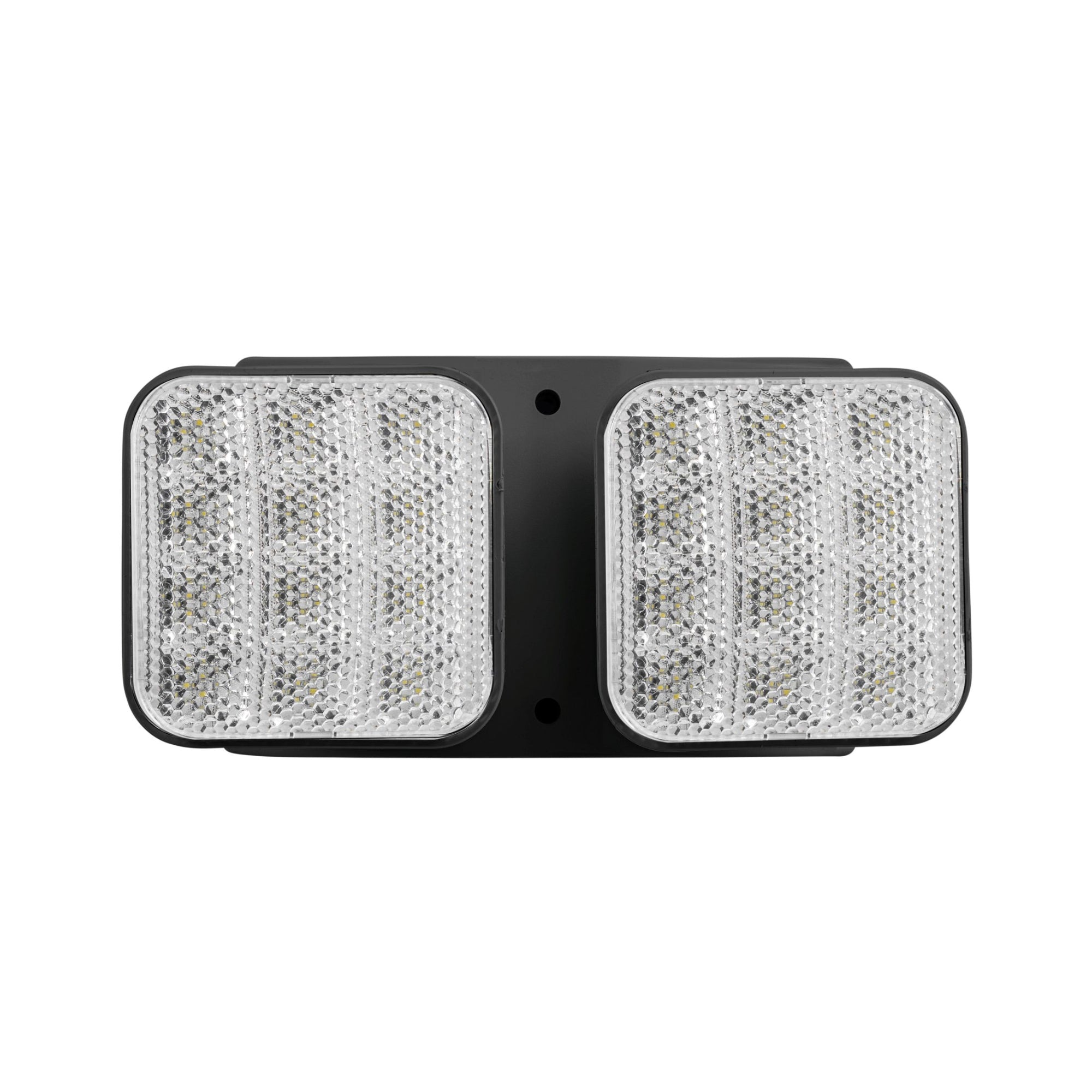 LED Remote Head, 200 Lumens, Double Head, Black - Bees Lighting
