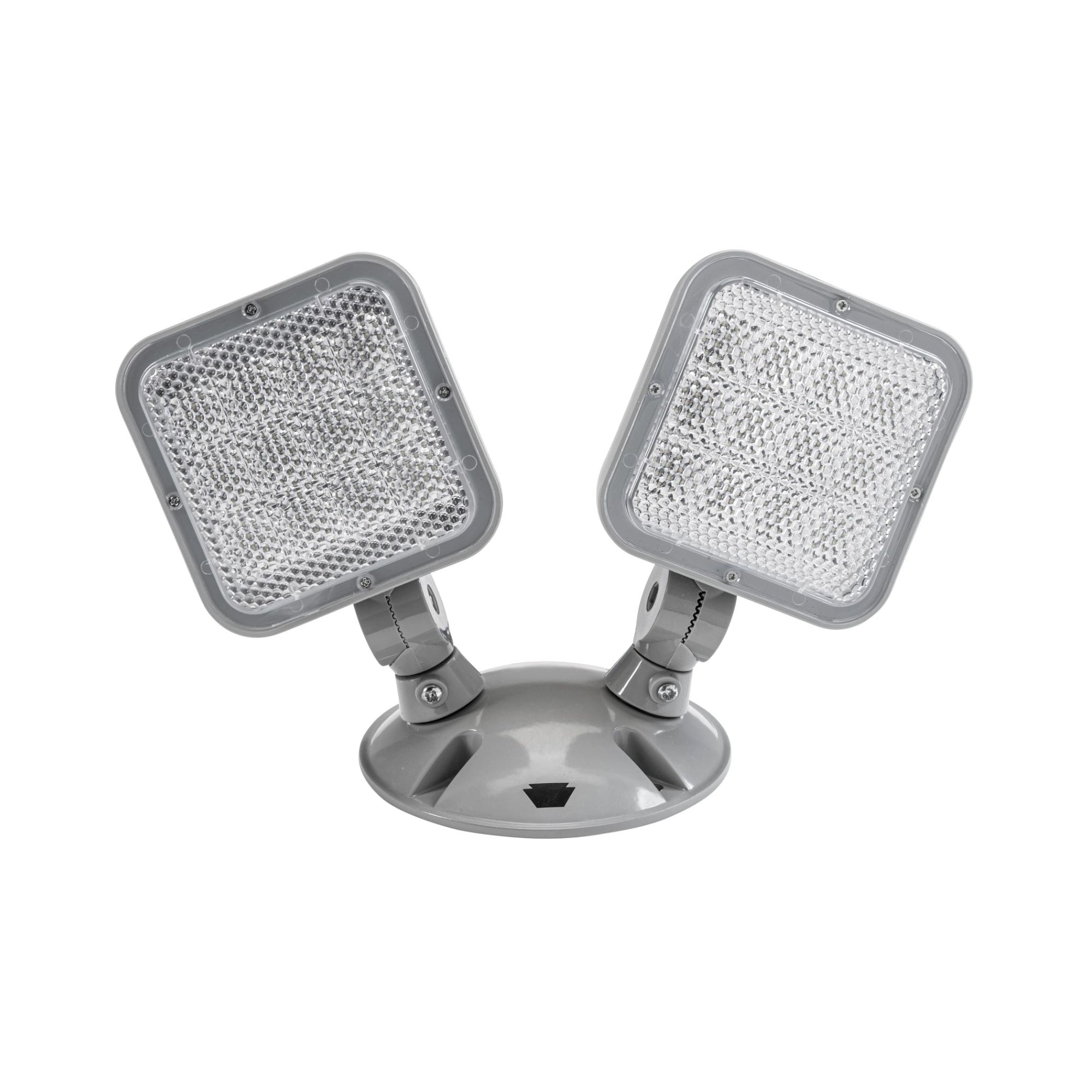 LED Remote Head, 200 Lumens, Double Head, Silver, Wet Rated - Bees Lighting