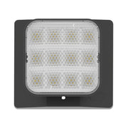 LED Remote Head, 100 Lumens, Single Head, Black - Bees Lighting