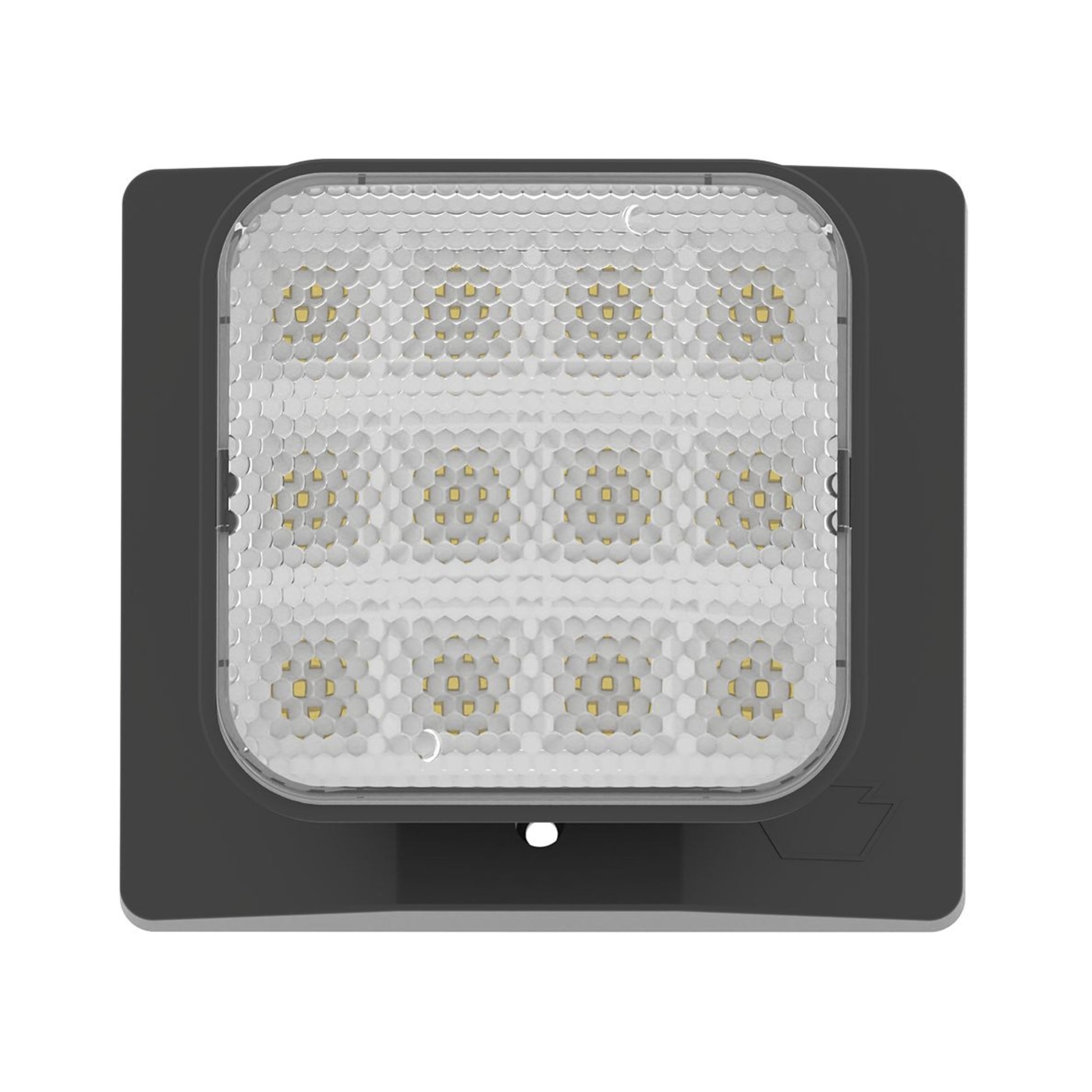 LED Remote Head, 100 Lumens, Single Head, Black - Bees Lighting