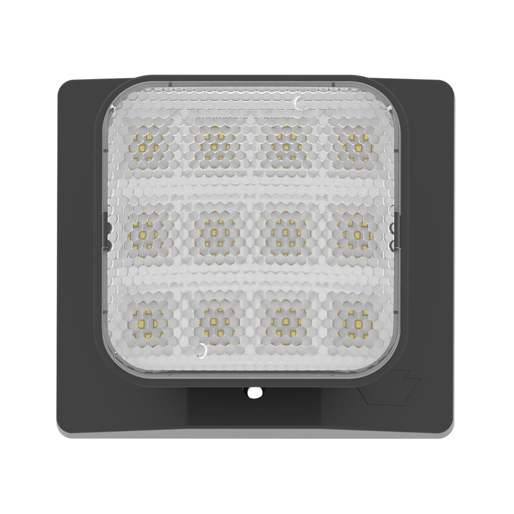 LED Remote Head, 100 Lumens, Single Head, Black - Bees Lighting