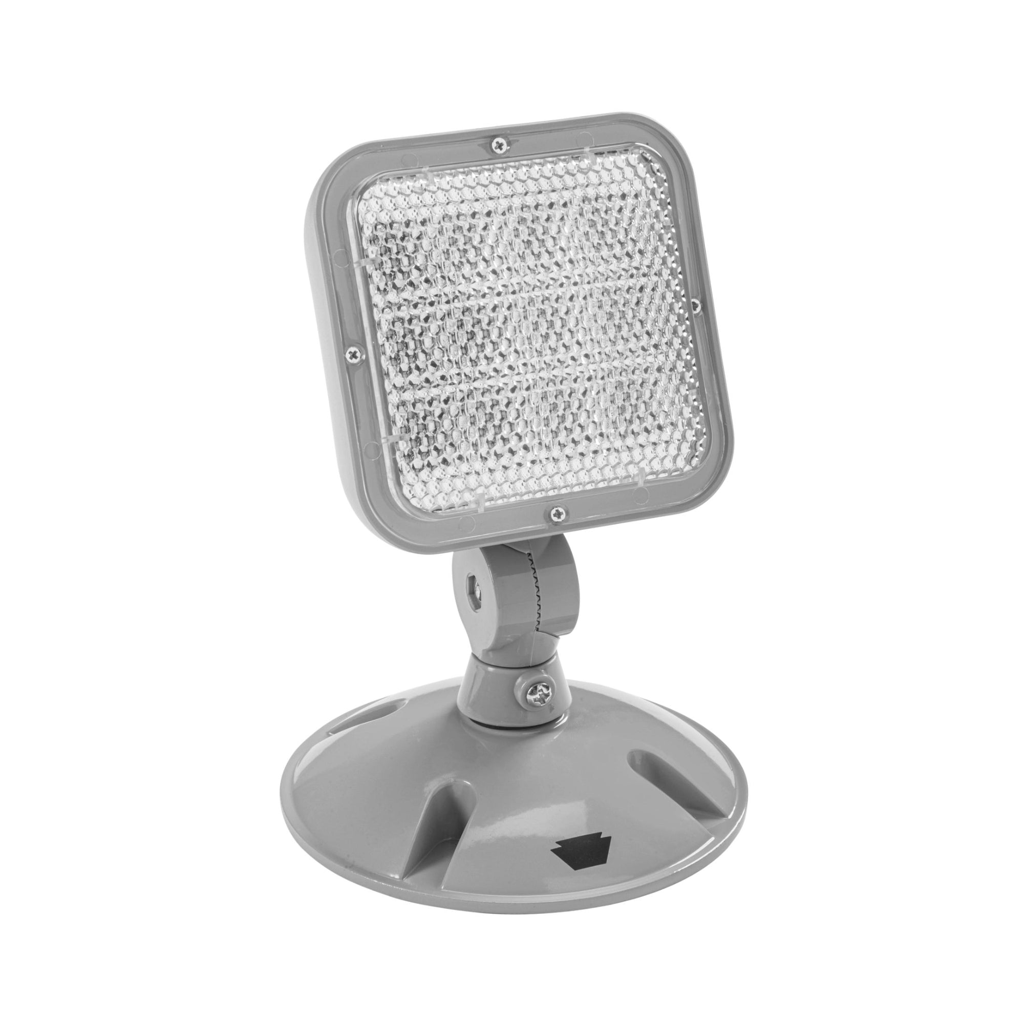 LED Remote Head, 100 Lumens, Single Head, Silver, Wet Rated - Bees Lighting
