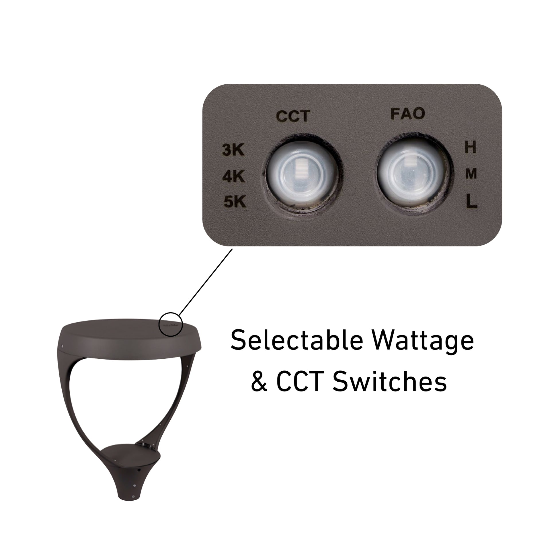 LED Post Top Area Light, 155W, 20500lm, 30K/40K/50K, 120-347V, Bronze - Bees Lighting