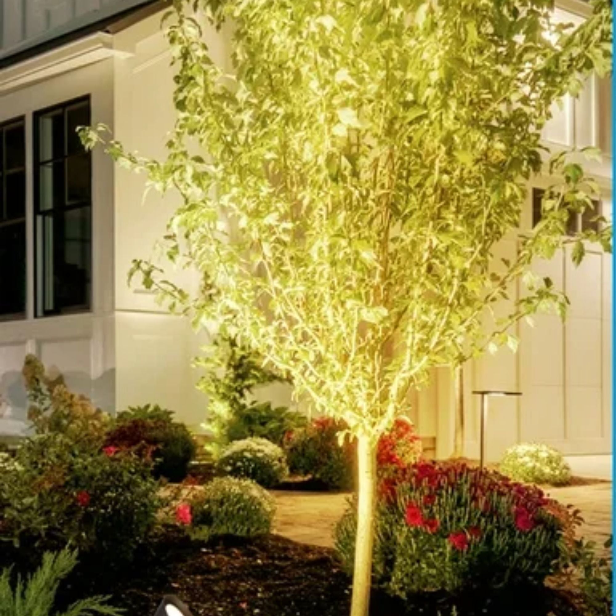 120V LED Compact Flood Light, 5W, 4000K, Bronze