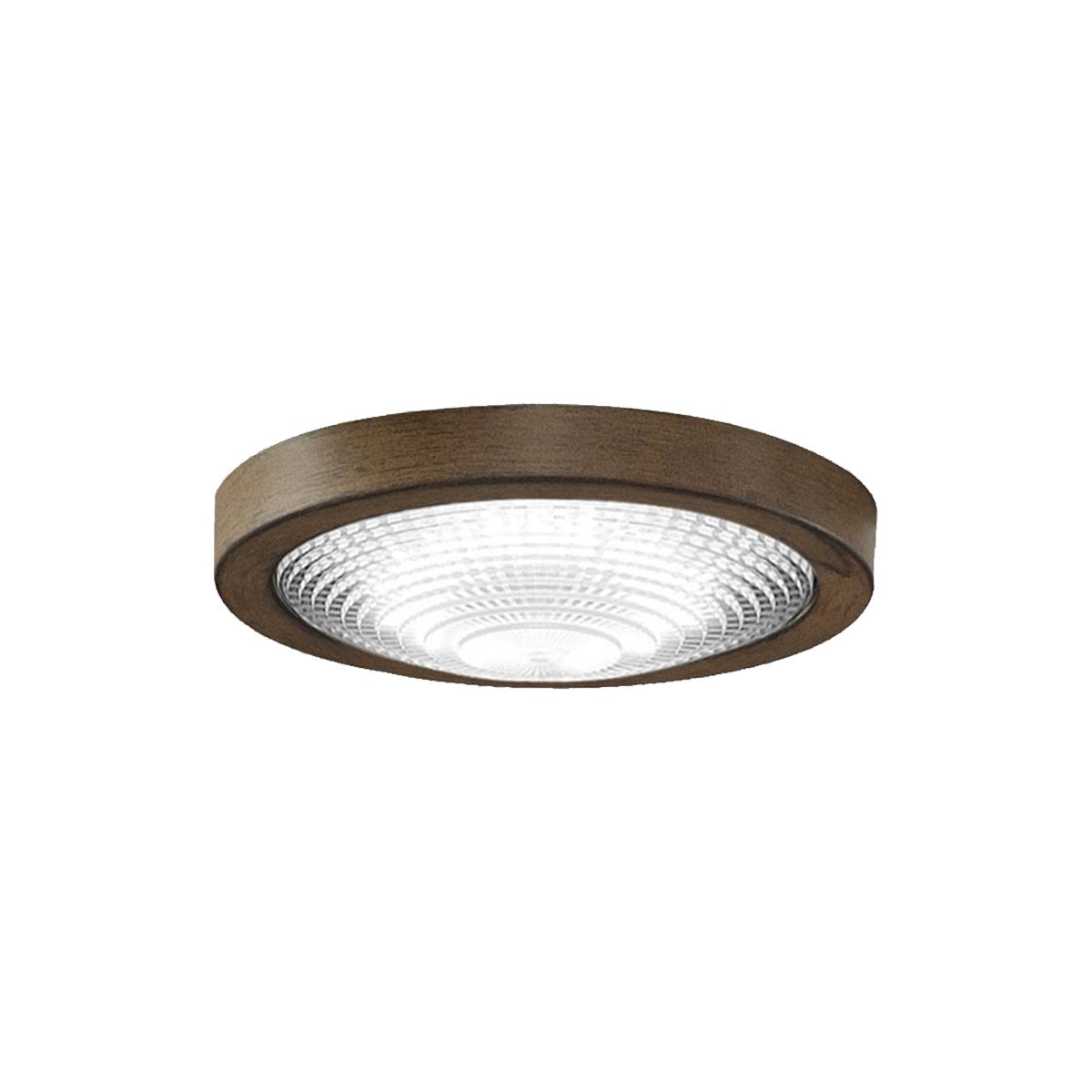 Fanimation Spitfire DC Ceiling Fan CCT LED Light Kit - Bees Lighting