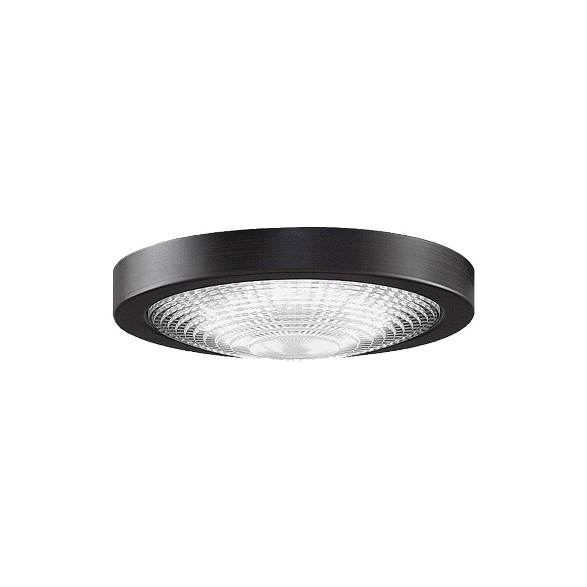 Fanimation Spitfire DC Ceiling Fan CCT LED Light Kit - Bees Lighting