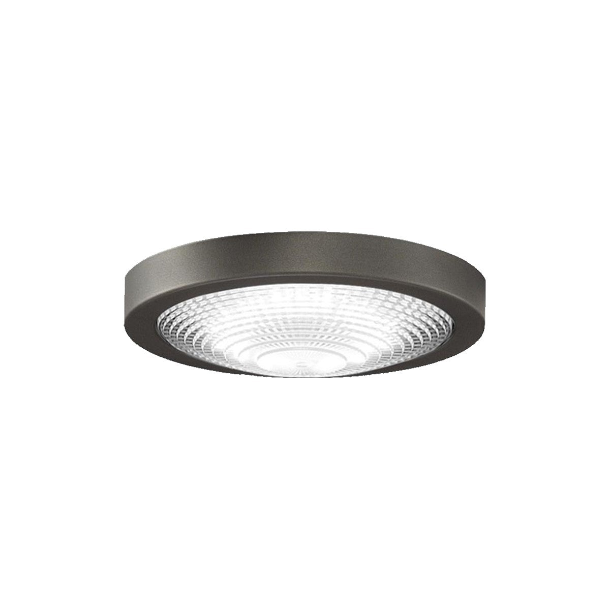 Fanimation Spitfire Ceiling Fan LED Light Kit - Bees Lighting