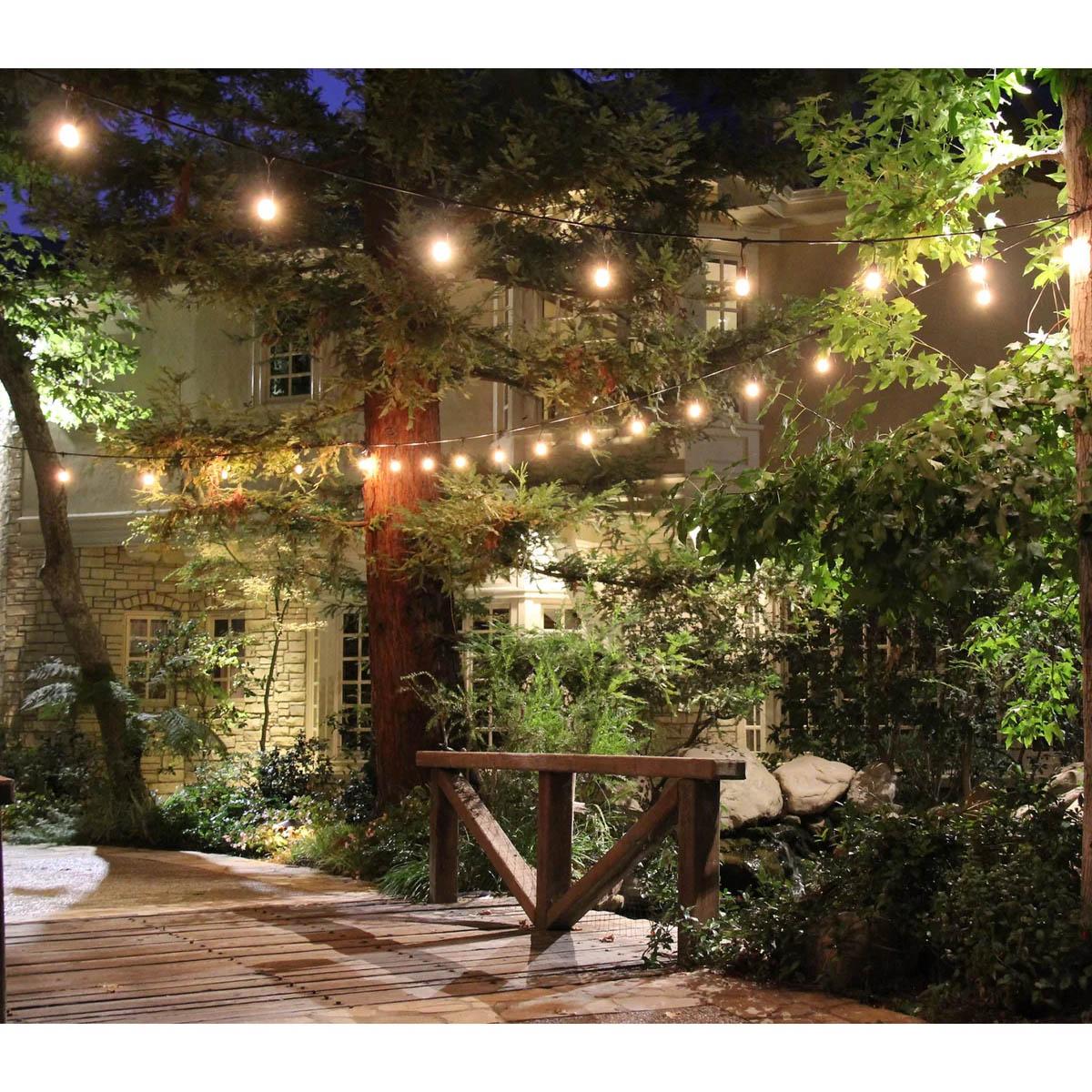 Commercial Grade LED String light, 330 Feet, 165 sockets, Suspended, E26 Medium Base - Bees Lighting