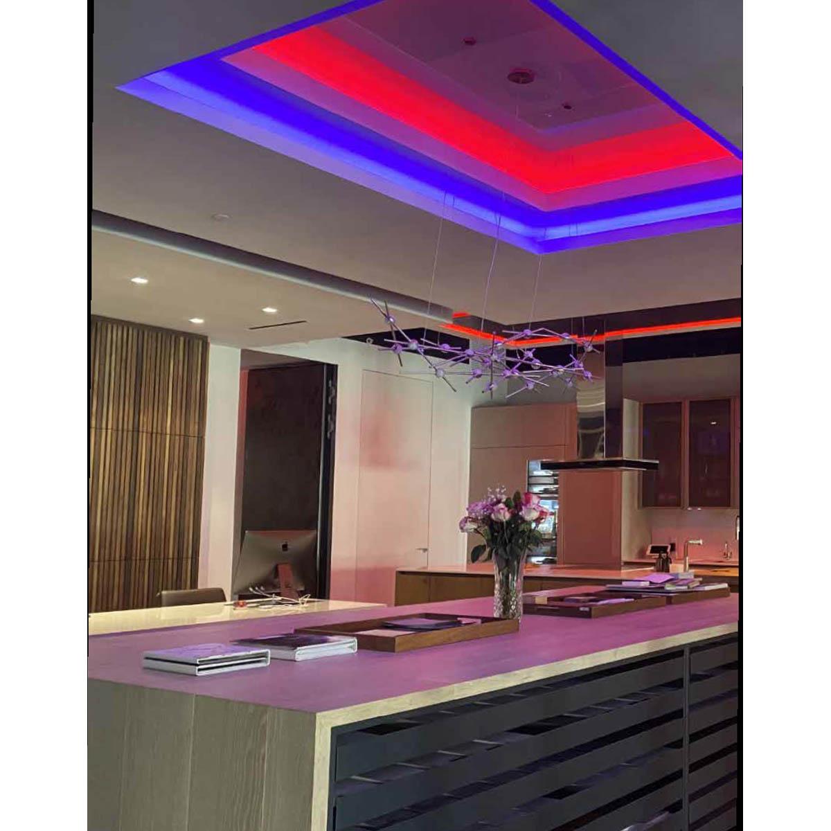 LTR-E Econo LED Strip Light, 16Ft Reel, Blue, 12V - Bees Lighting