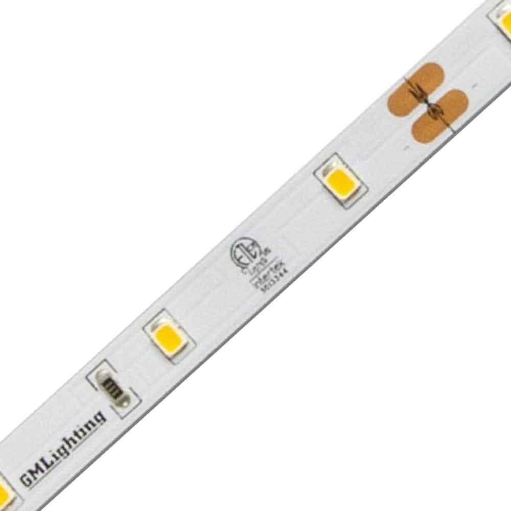 LTR-E Econo LED Strip Light, 1.5W / ft, 134 Lumens per Ft, 24V - Bees Lighting