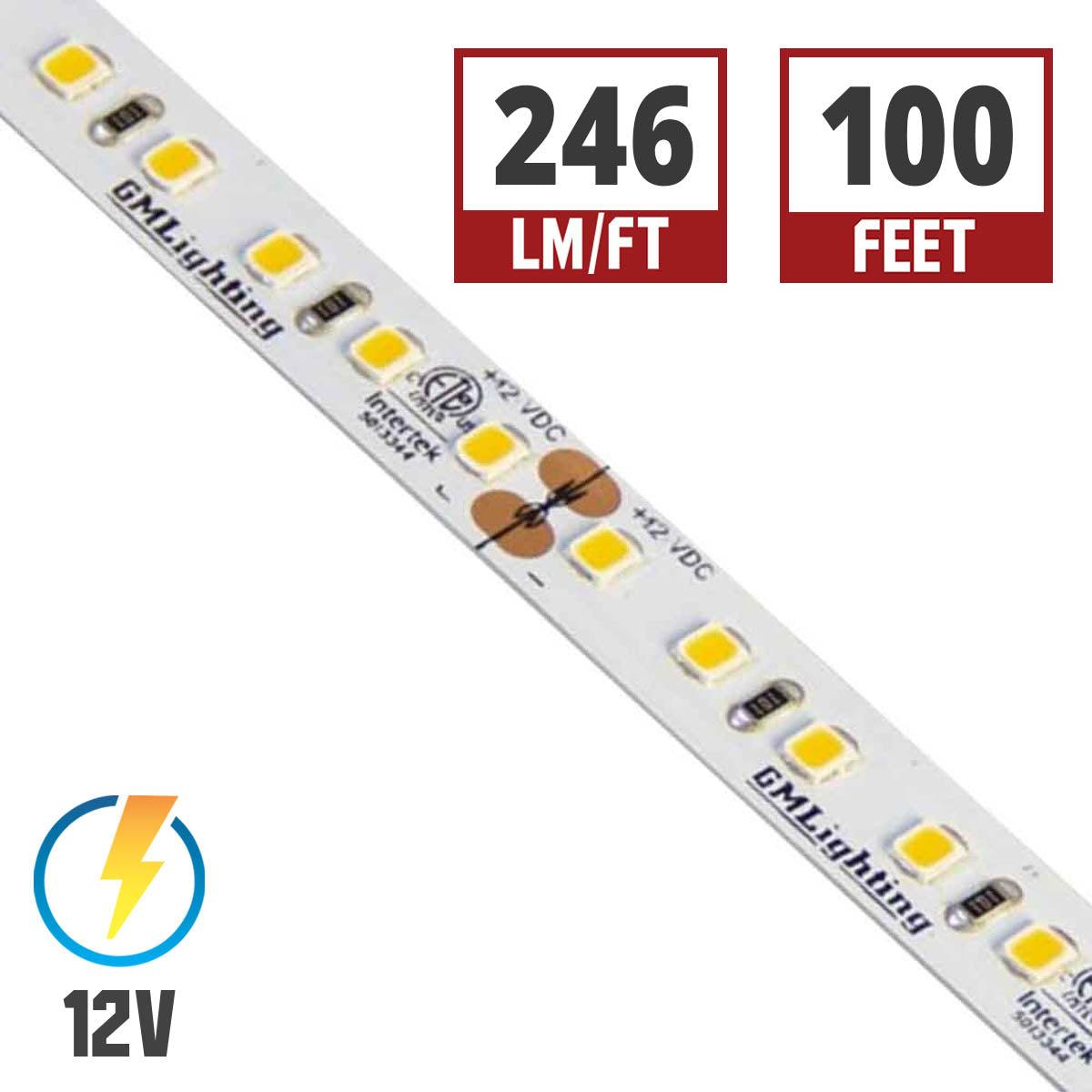 LTR-P Pro LED Strip Light, 3.0W / ft, 240 Lumens per Ft, 12V - Bees Lighting