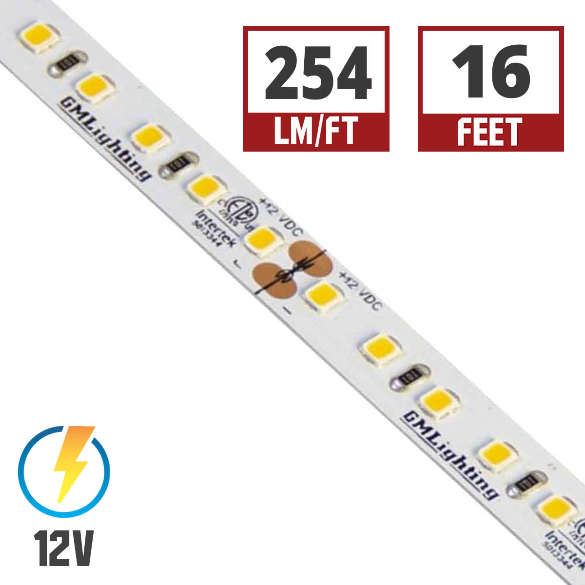 LTR-P Pro LED Strip Light, 3.0W / ft, 240 Lumens per Ft, 12V