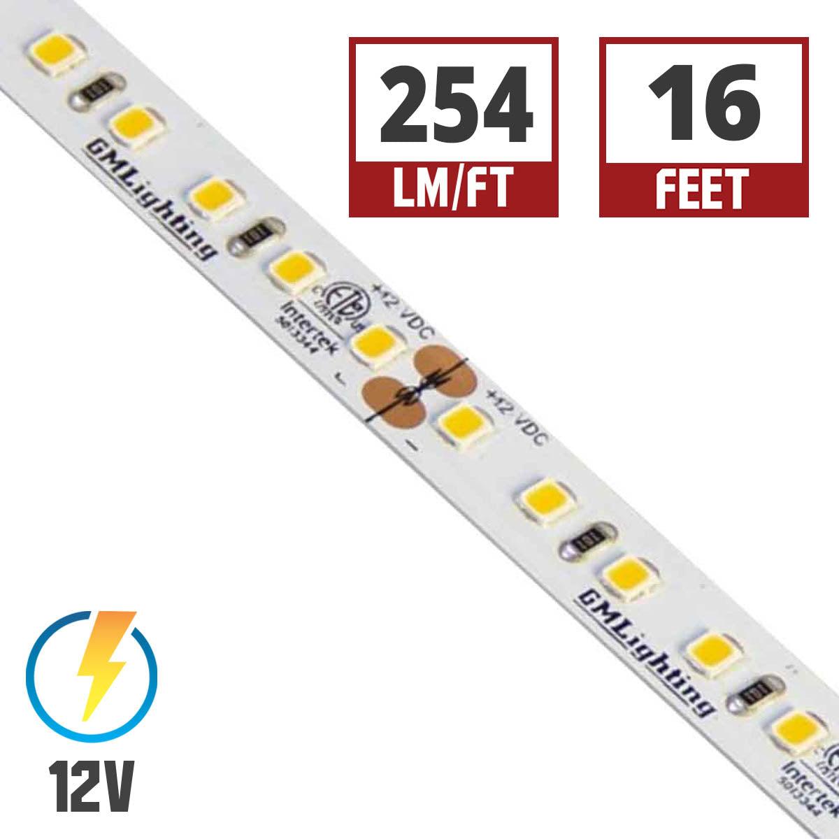 LTR-P Pro LED Strip Light, 3.0W / ft, 240 Lumens per Ft, 12V - Bees Lighting