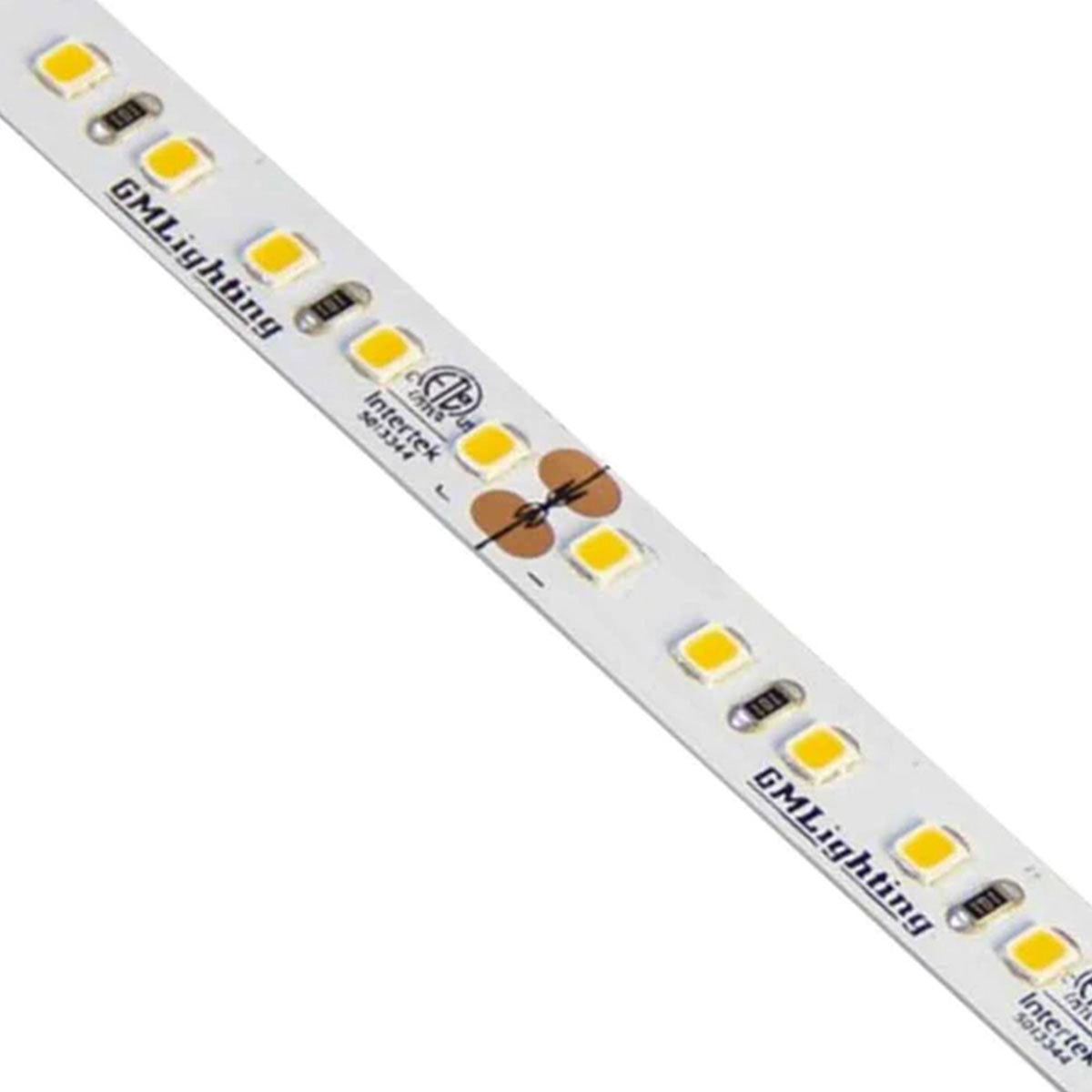 LTR-P Pro LED Tape Light, 100Ft Reel, 2700K, 3 W/Ft, 24V - Bees Lighting