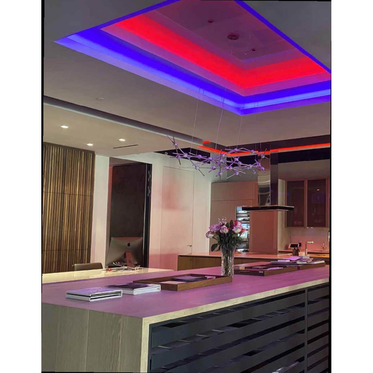 LTR-S Spec LED Strip Light, 16Ft Reel, Color Changing RGB + 3000K, 430 Lm/Ft, 24V - Bees Lighting