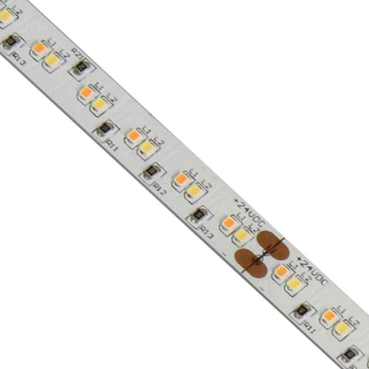 LTR-S Spec LED Strip Light, 16Ft Reel, Dim to Warm 3500K to 1800K, 24V - Bees Lighting