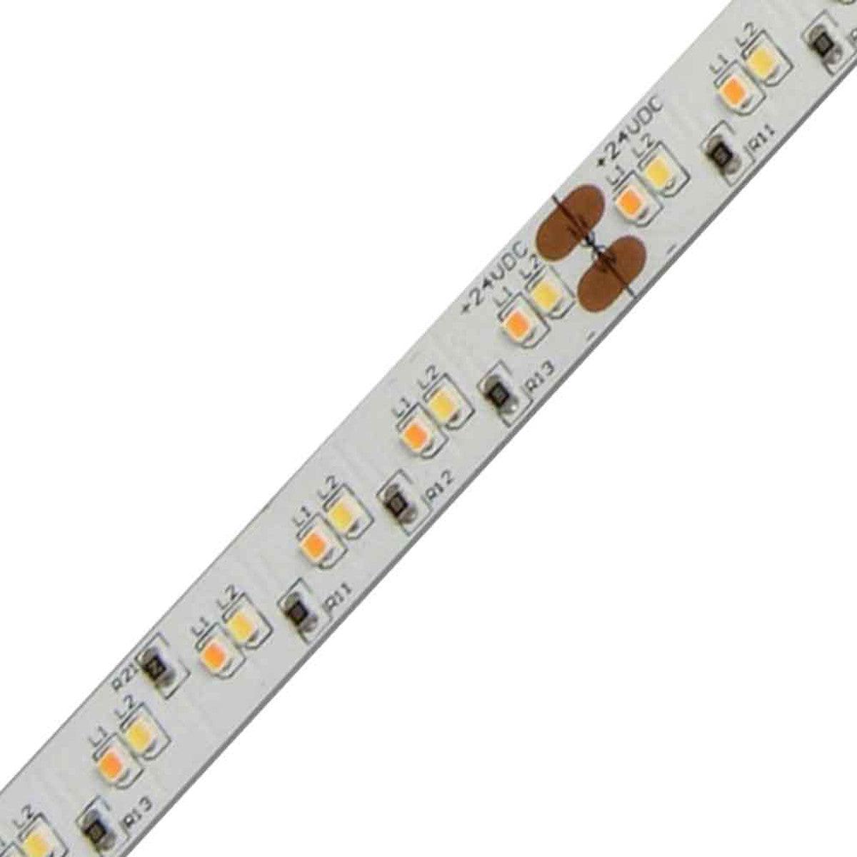 LTR-S Spec LED Strip Light, 16ft Reel, Dim to Warm 3500K to 1800K, 194 Lumens per Ft, 24V - Bees Lighting
