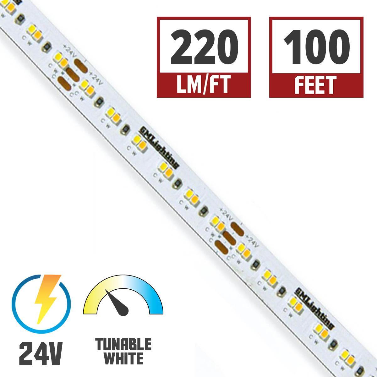 LTR-S Spec Tunable White CCT LED Strip Light, 100ft Reel, 2400K to 5000K, 267 Lumens per Ft, 24V