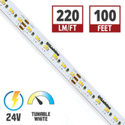 LTR-S Spec Tunable White CCT LED Strip Light, 100Ft Reel, 267 Lm/Ft, 24V - Bees Lighting