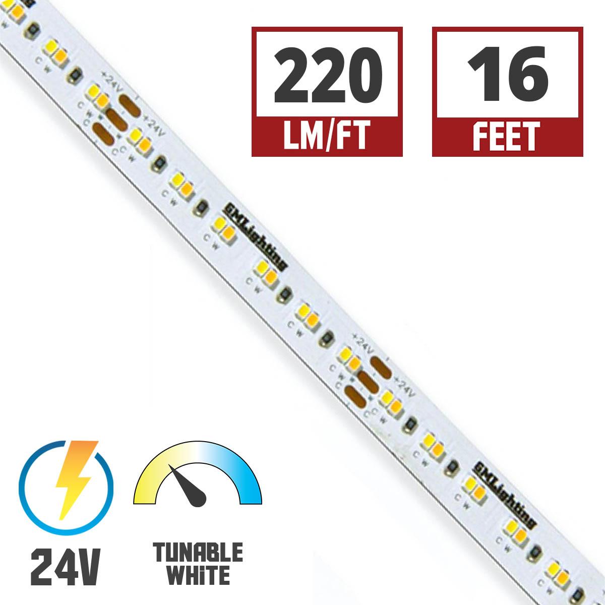 LTR-S Spec Tunable White CCT LED Strip Light, 16ft Reel, 2400K to 5000K, 267 Lumens per Ft, 24V