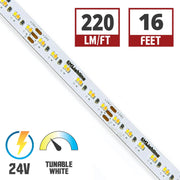 LTR-S Spec Tunable White CCT LED Strip Light, 16Ft Reel, 267 Lm/Ft, 24V - Bees Lighting