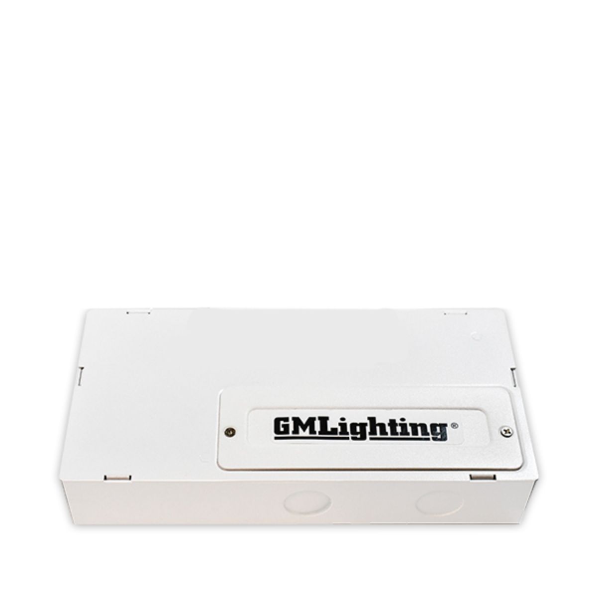 Tunable White LED Driver 24V DC 90W 120V AC Input - Bees Lighting