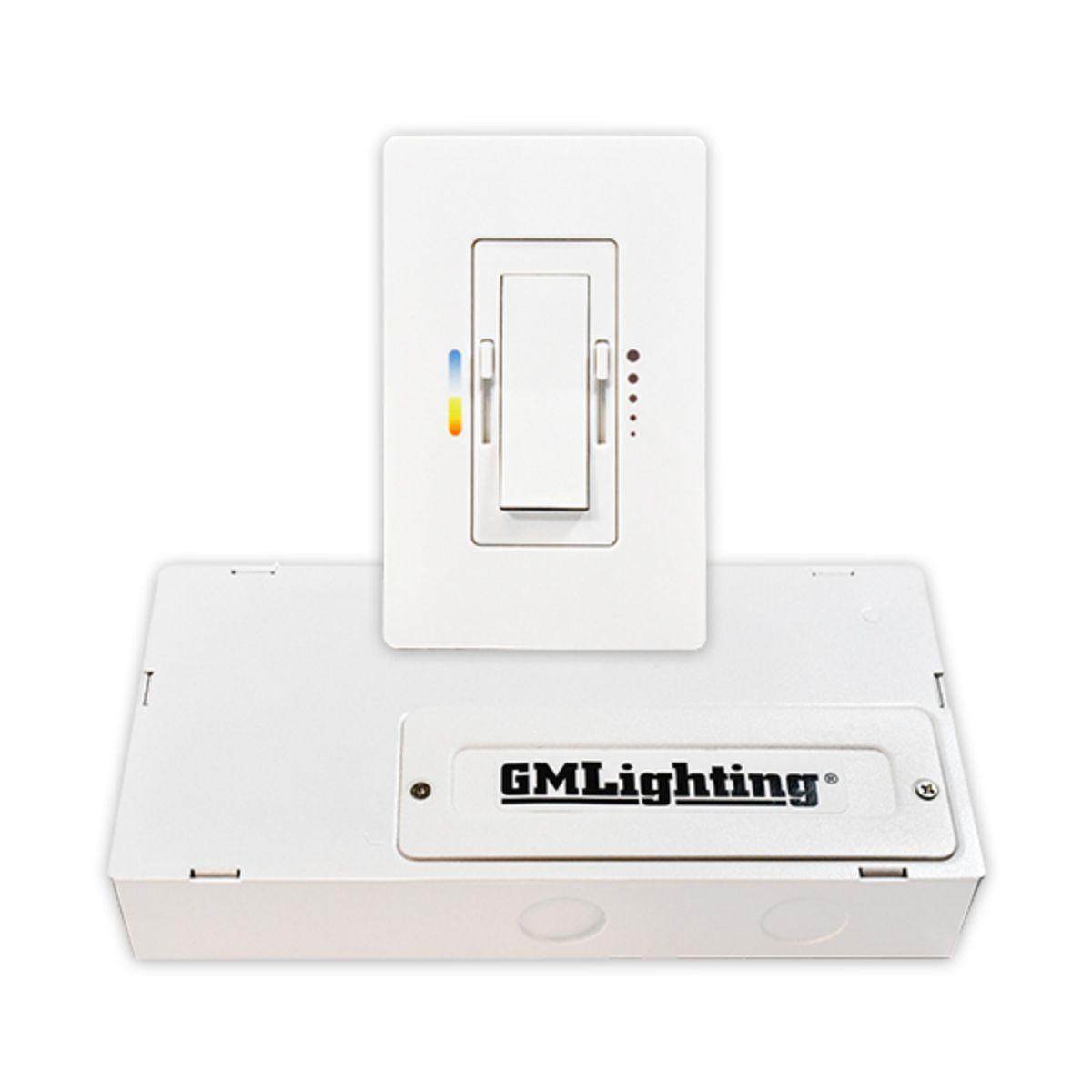 Tunable White CCT Lighting System Wall Controller and Driver - Bees Lighting