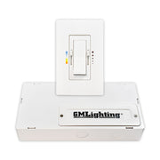 Tunable White CCT Lighting System Wall Controller and Driver - Bees Lighting