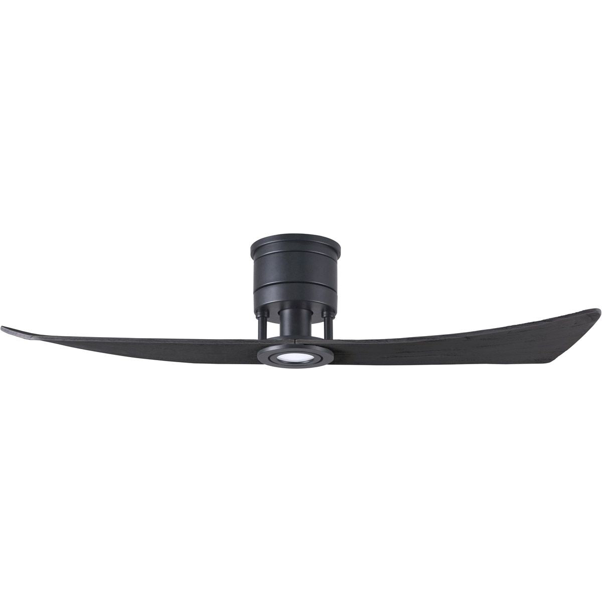 Lindsay 52 Inch 2-Blade Black Damp Rated LED Ceiling Fan with Remote - Bees Lighting