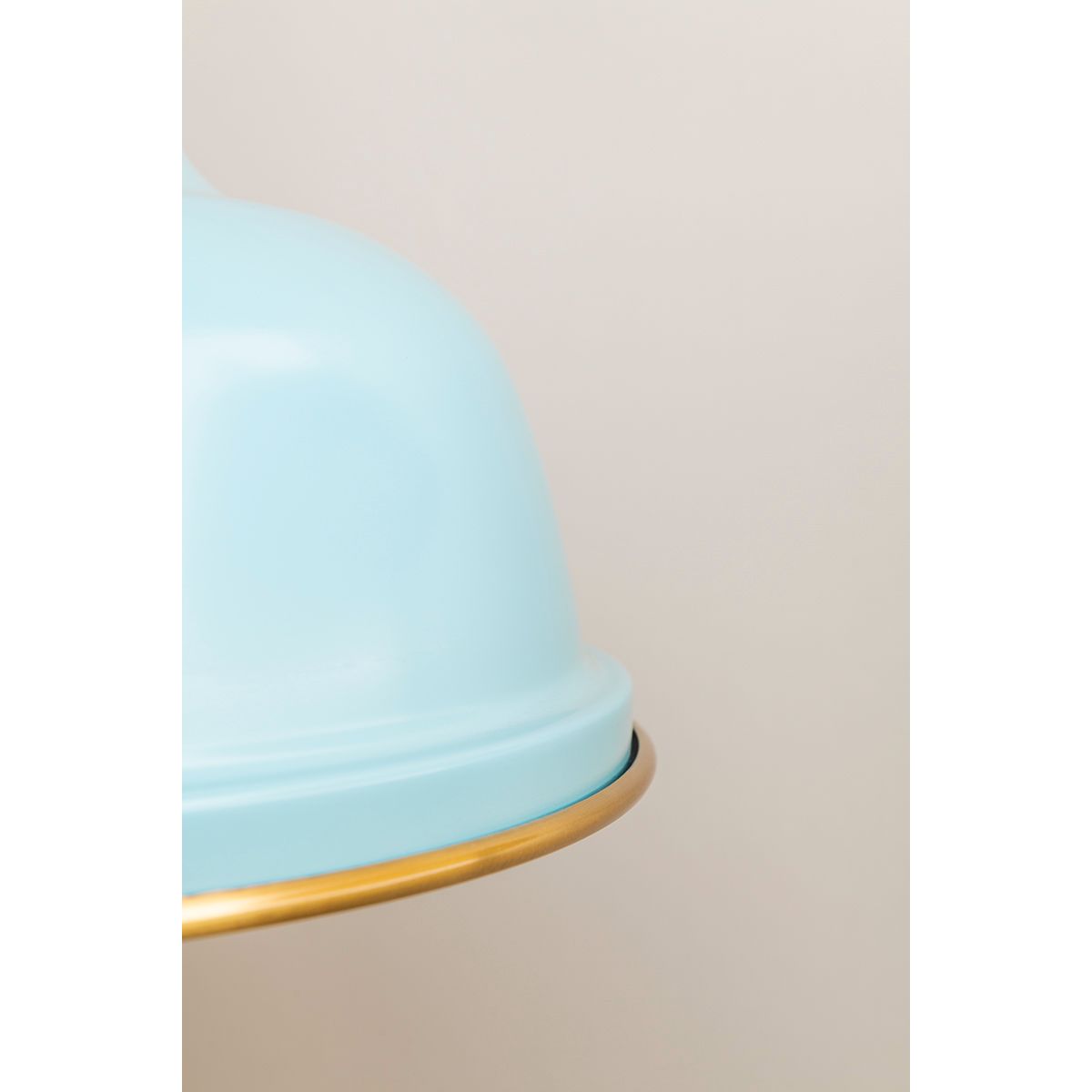 Painted No.1 18 in. 3 Lights Pendant Light Blue Bird Finish - Bees Lighting
