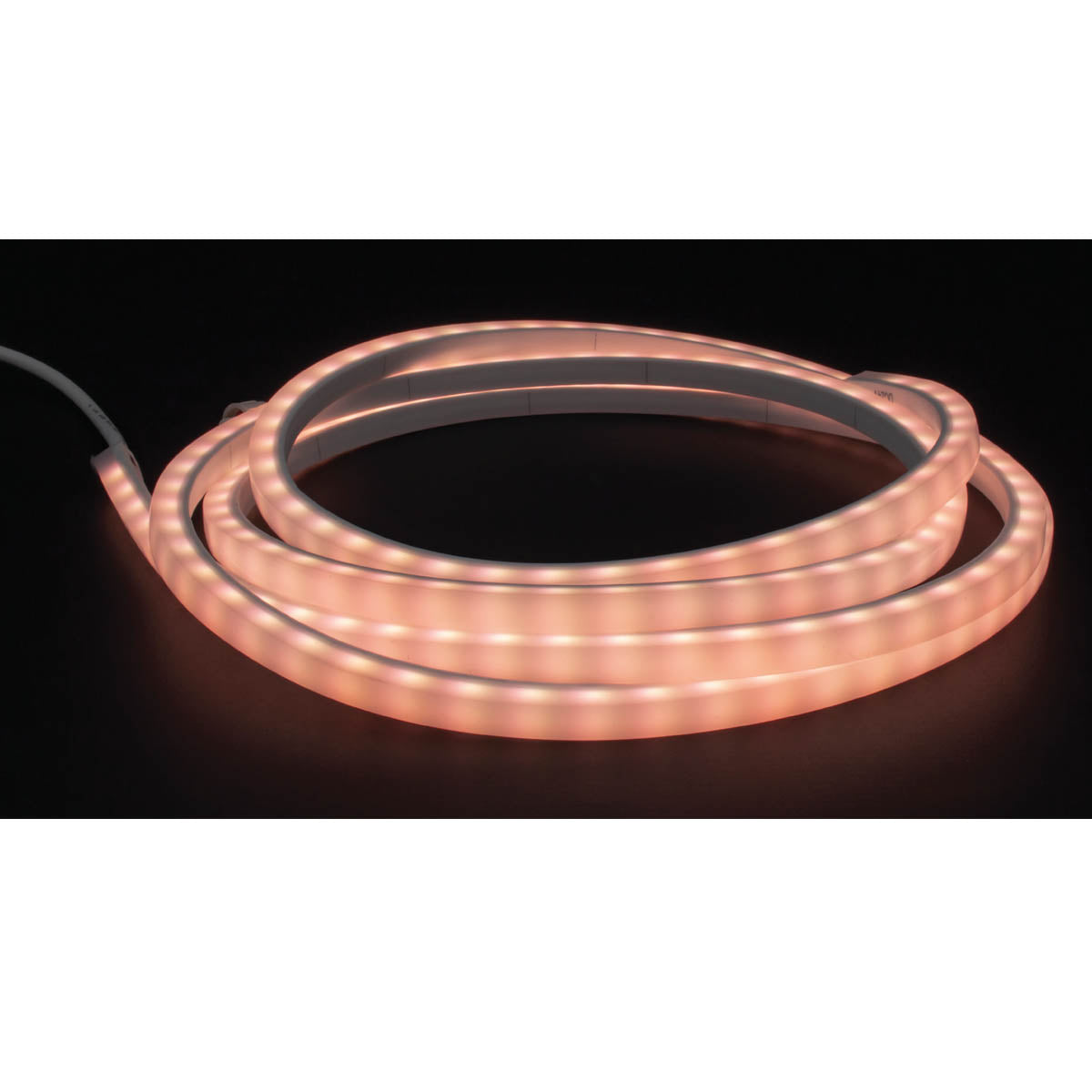 MicroLux Neon LED Strip Light, 16Ft Reel, 370 Lm/Ft, 3000K, IP65 Wet locations, 24V - Bees Lighting