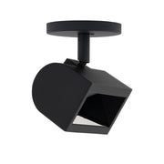 Ocularc 3020W LED Monopoint Wall Wash - Bees Lighting