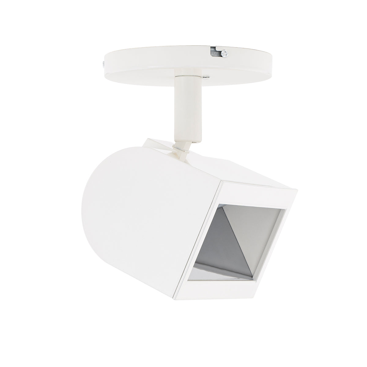 Ocularc 3020W LED Monopoint Wall Wash - Bees Lighting