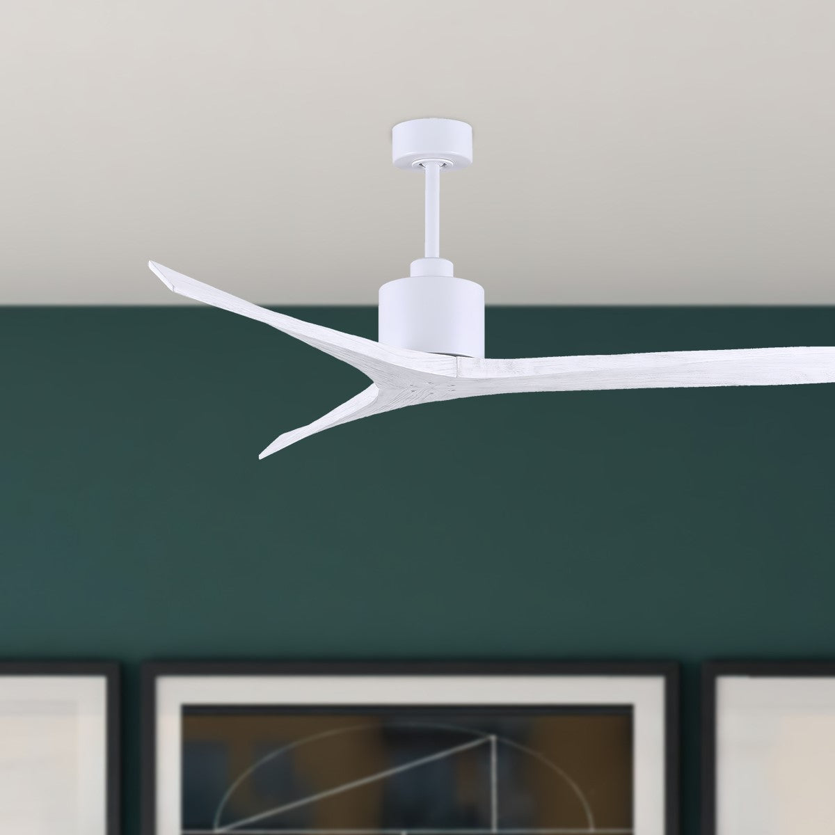 Mollywood 60 Inch Propeller Outdoor Ceiling Fan With Remote And Wall Control