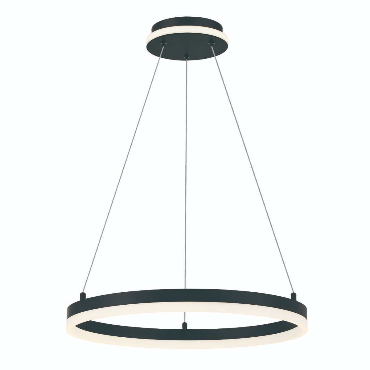 Recovery 20 in. LED Pendant Light
