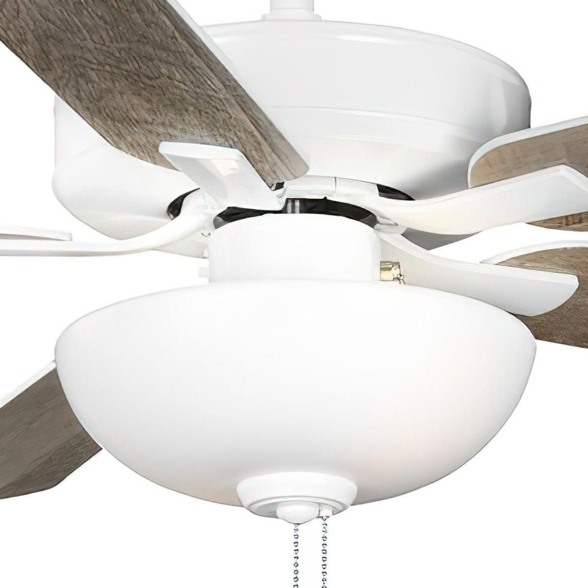AirPro E-Star 52 Inch Ceiling Fan With 2 Light, Frosted Glass - Bees Lighting