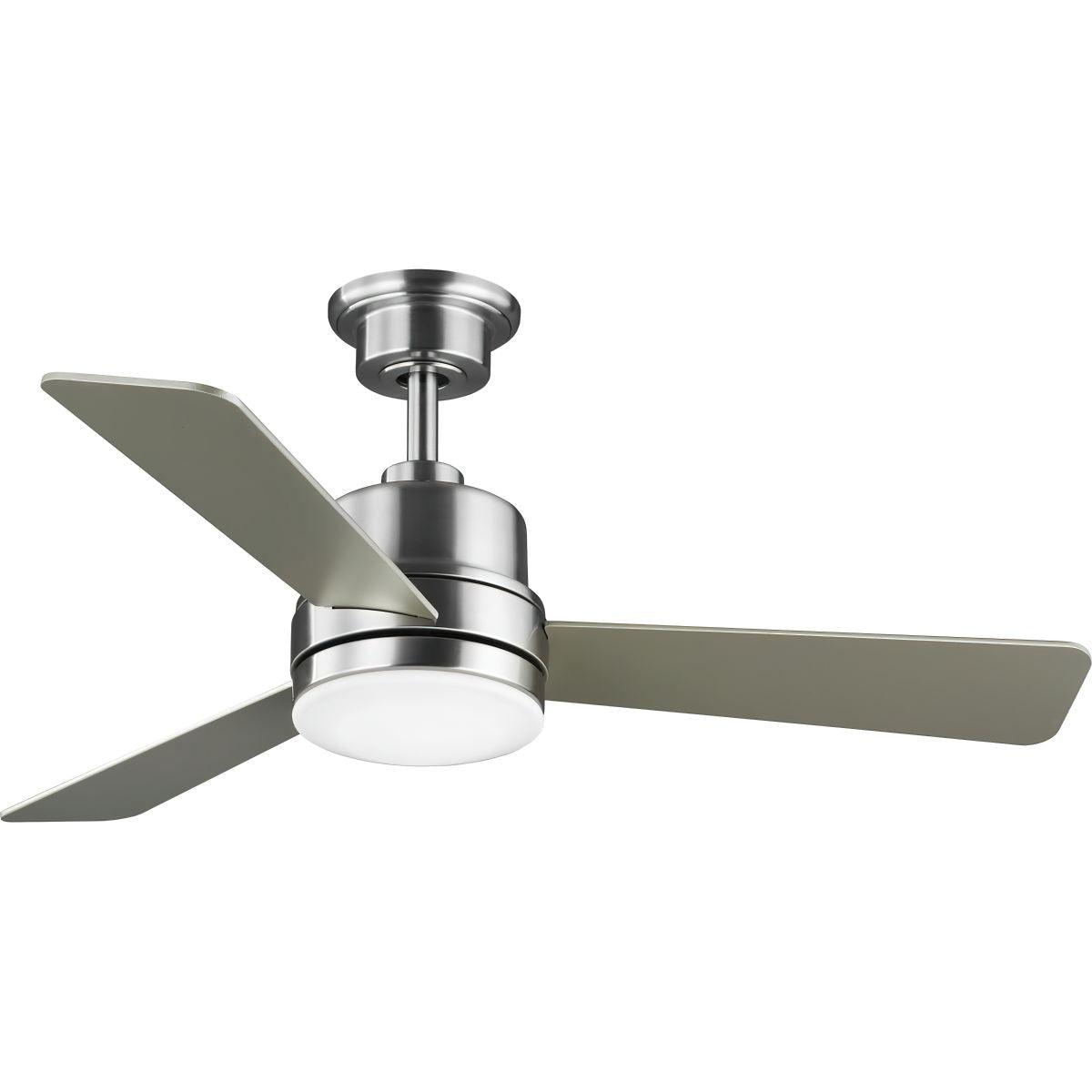 Trevina II 44 Inch Modern Ceiling Fan With Light, Wall Control Included - Bees Lighting