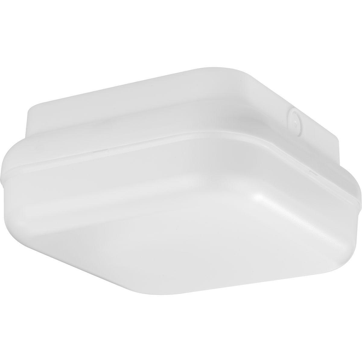 Hard Nox 10 in. Square LED Outdoor Flush Mount - Bees Lighting