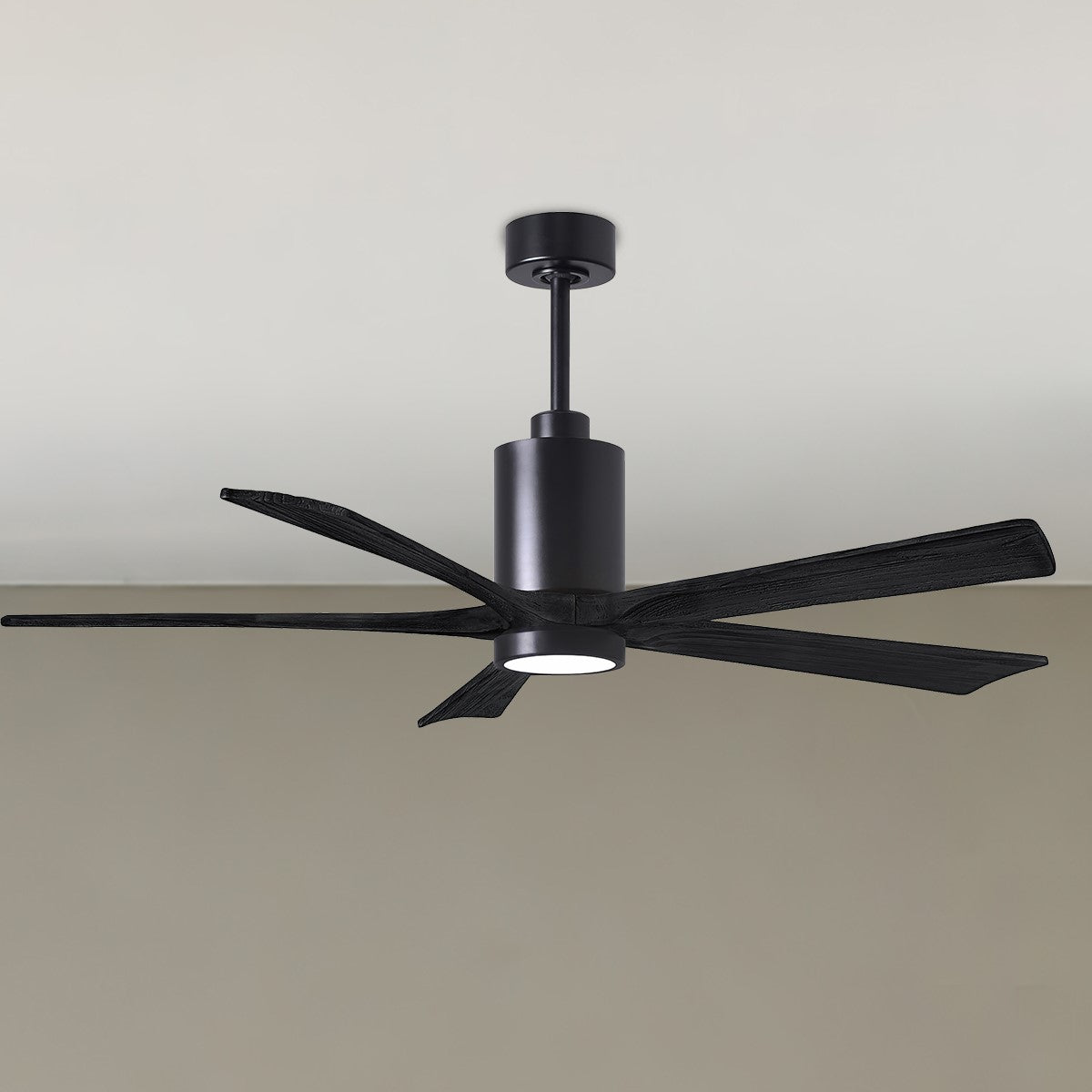 Patricia 60 Inch 5 Blades Modern Outdoor Ceiling Fan With Light, Wall And Remote Control Included - Bees Lighting