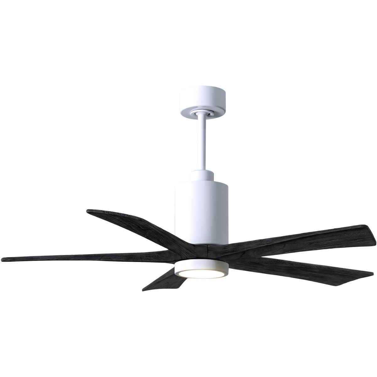 Patricia 52 Inch 5 Blades Modern Outdoor Ceiling Fan With Light, Wall And Remote Control Included