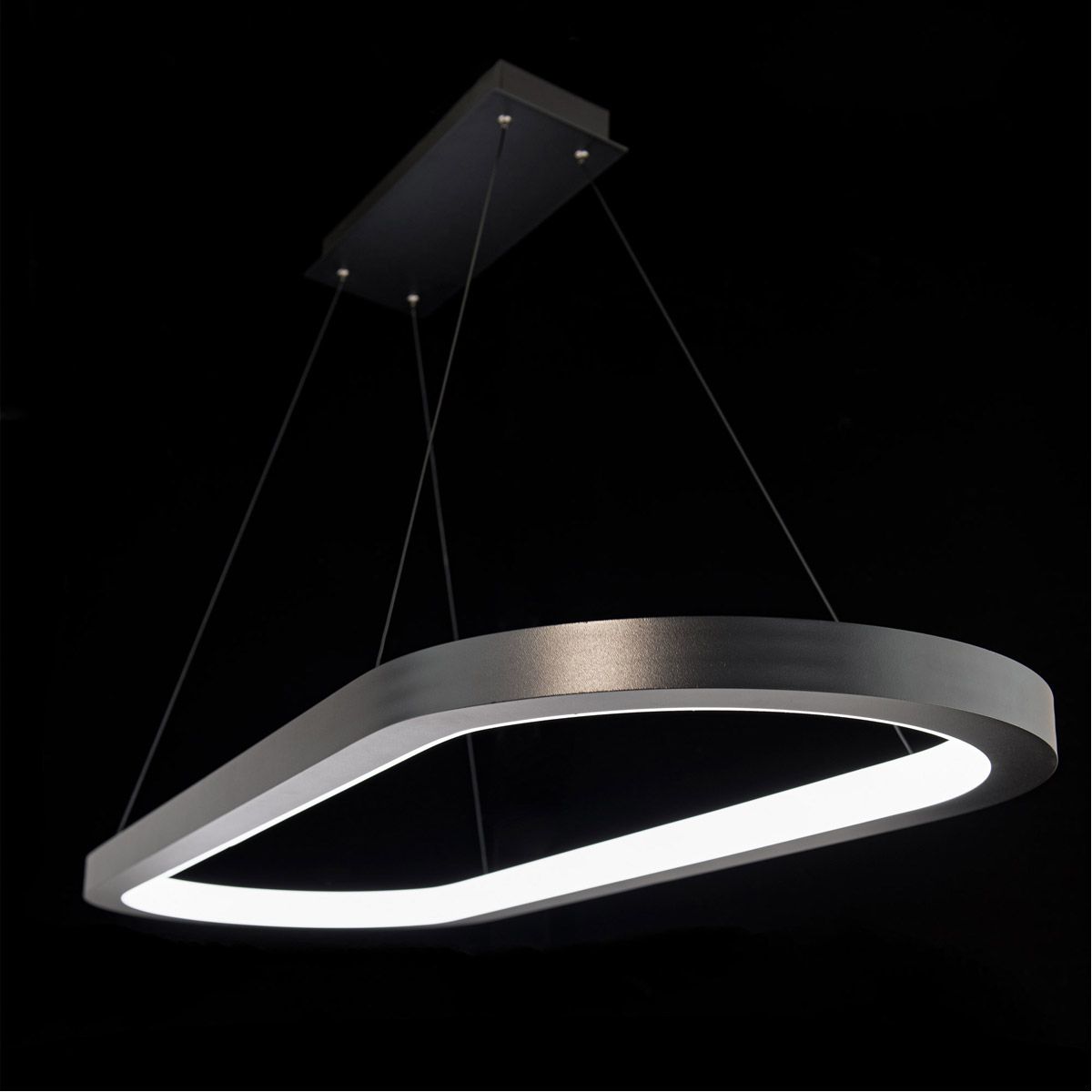 Racetrack 46 in. LED Pendant Light 3000K Black Finish - Bees Lighting