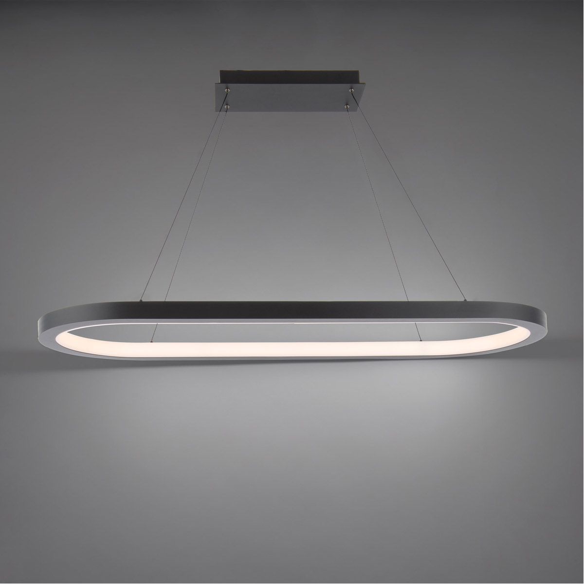 Racetrack 46 in. LED Pendant Light 3000K Black Finish - Bees Lighting