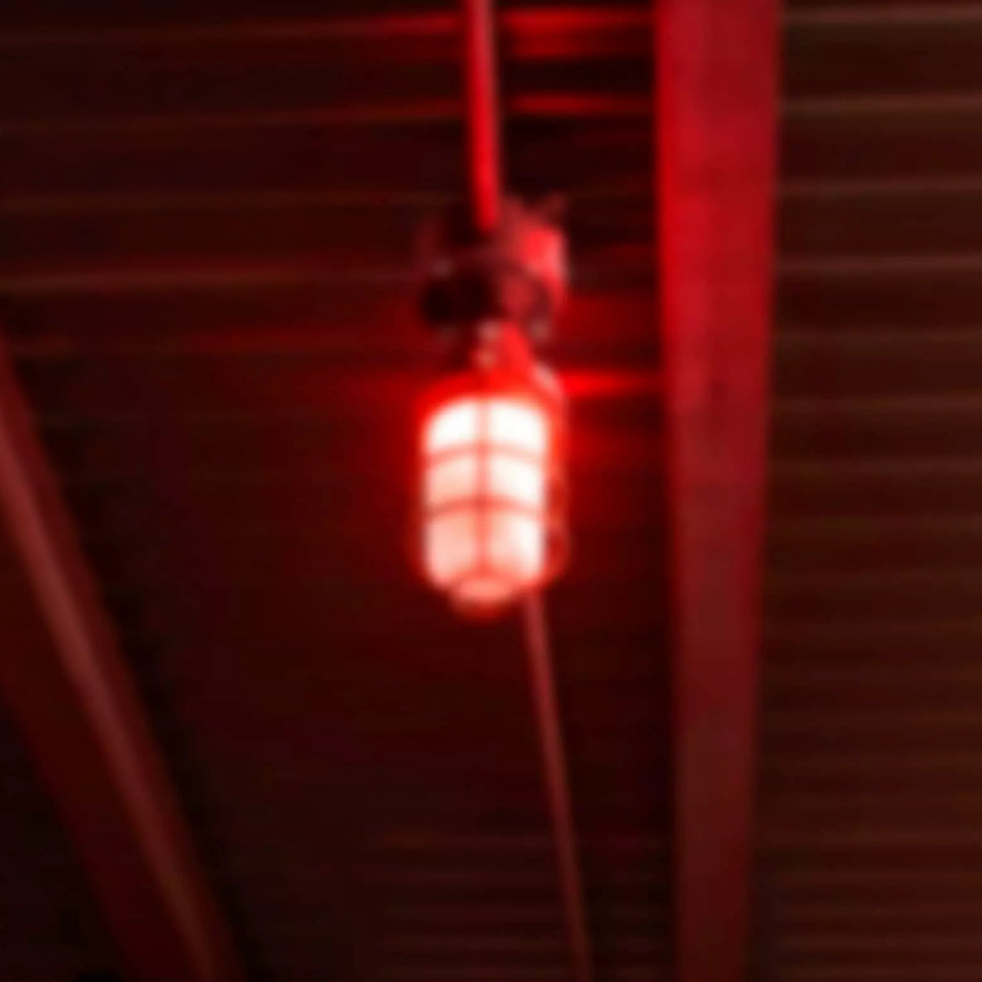 Hazardous Location Vaporproof Light, 20W, 1520lm, Green light, 120-277V