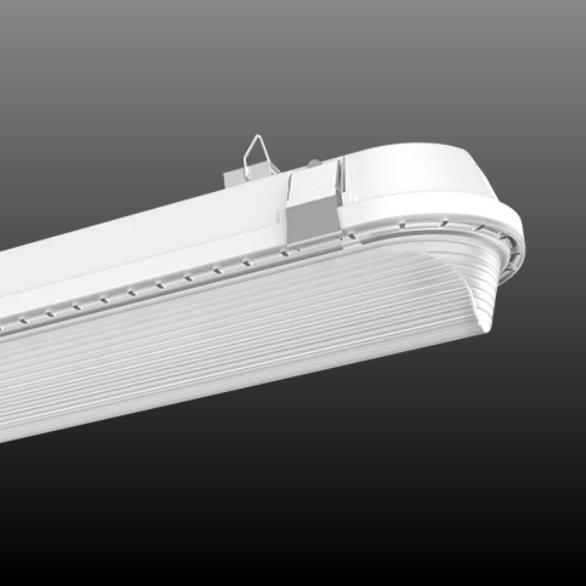 RAB SHARK8 8ft LED Vapor Tight / Washdown Fixture 14,201 Lumens 100W Selectable 35K/40K/50K 120–277V White