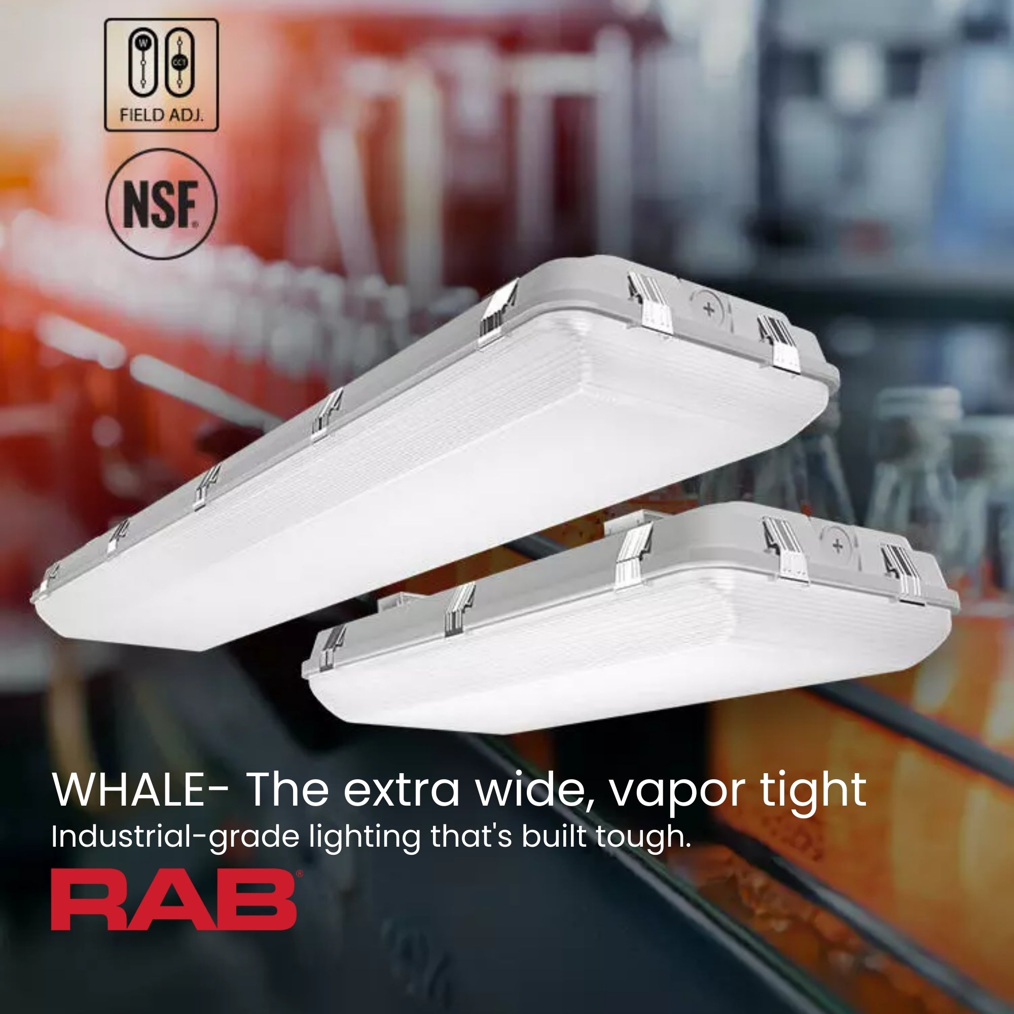 RAB WHALE2 2ft LED Vapor Tight / Washdown Fixture 14,327 Lumens 90W Selectable 35K/40K/50K 120–277V Gray