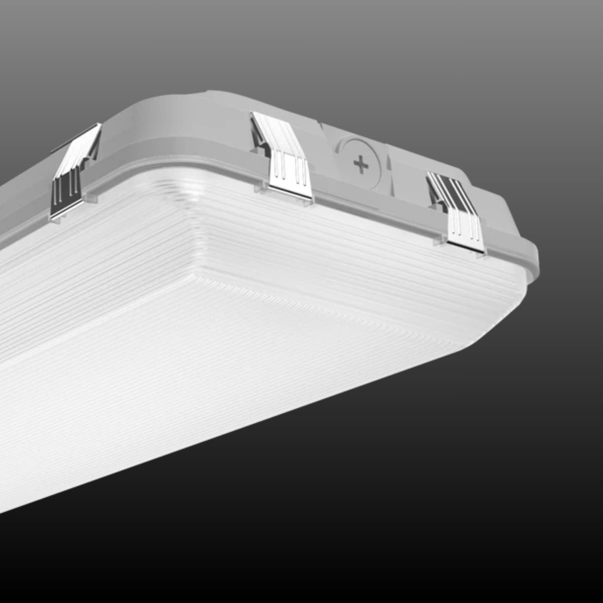 RAB WHALE4 4ft LED Vapor Tight / Washdown Fixture 24,462 Lumens 160W Selectable 35K/40K/50K 120–277V Gray