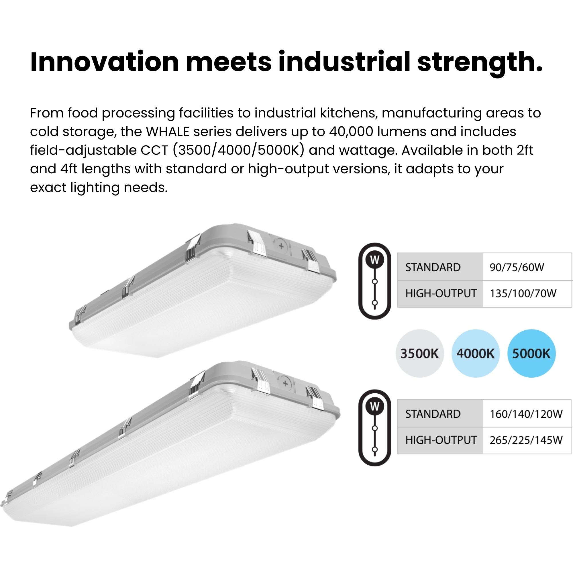 RAB WHALE4 4ft LED Vapor Tight / Washdown Fixture 24,462 Lumens 160W Selectable 35K/40K/50K 120–277V Gray