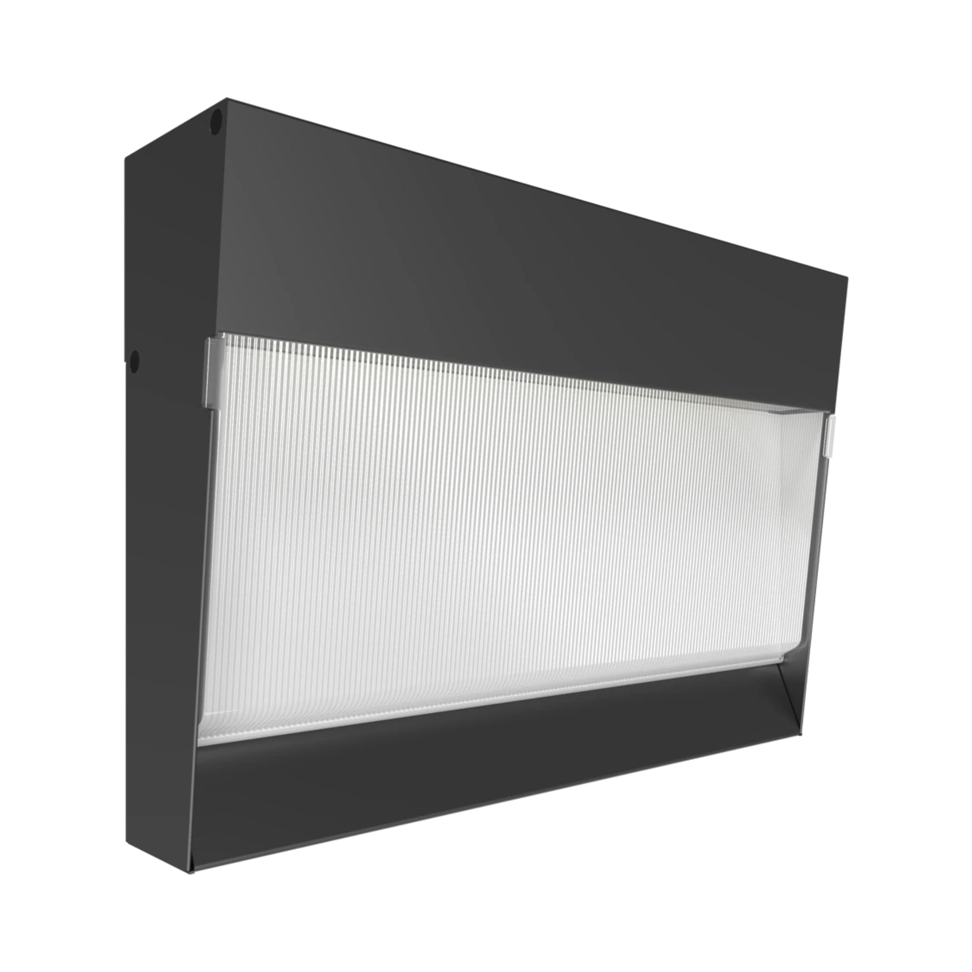 RAB C-Wall Field Adjustable Wall Pack - Bees Lighting